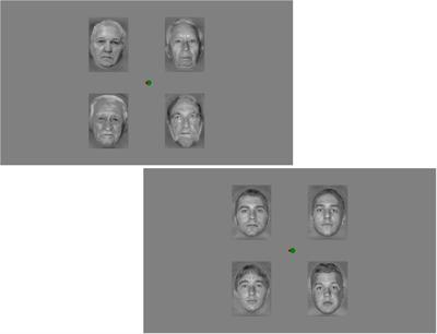 Older Adults Automatically Detect Age of Older Adults’ Photographs: A Visual Mismatch Negativity Study